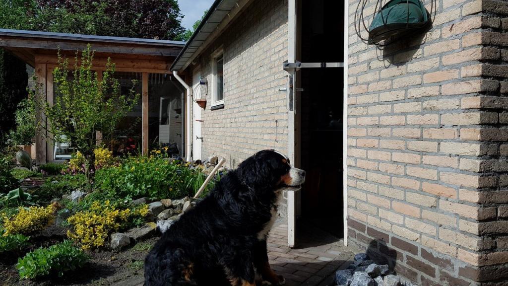 De Kierr Flex 200 verstelbare deuruitzetter ook te gebruiken voor honden